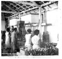 /album/galeria-de-fotos-fotos/anos-60-funcionarios-executam-suas-tarefas-na-linha-de-produ%c3%a7%c3%a3o-da-fabrica-de-refrigerantes-dos-produtos-flip-jpg/